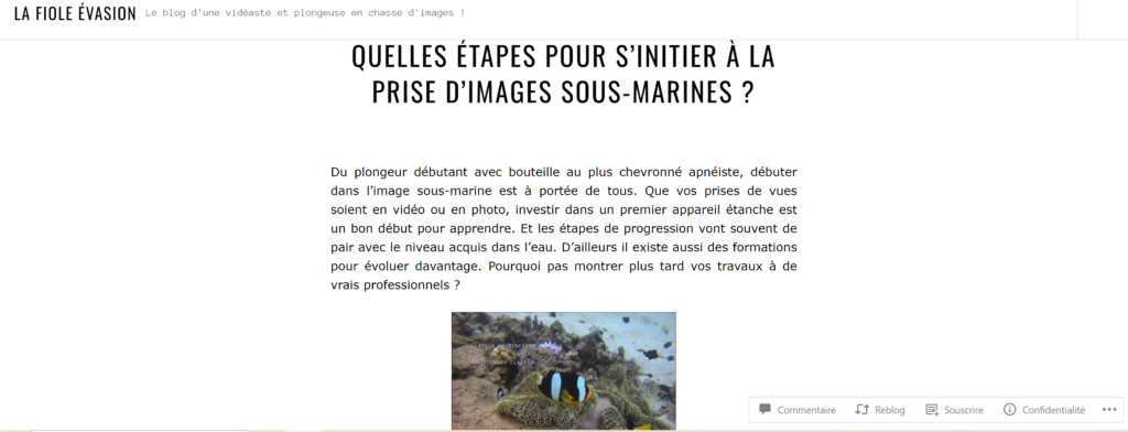 Blog de voyage. Prise d'images sous-marines